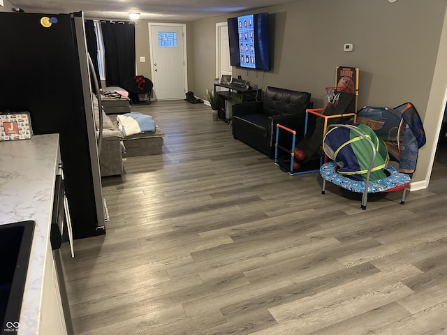 living room with hardwood / wood-style flooring