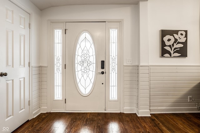 foyer entrance featuring dark wood-type flooring and a wealth of natural light