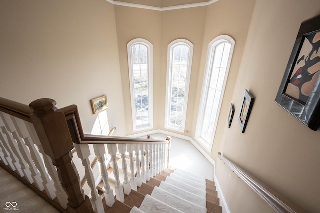 stairway with plenty of natural light, baseboards, and wood finished floors