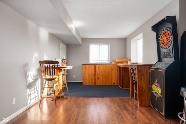 bar featuring baseboards and wood finished floors