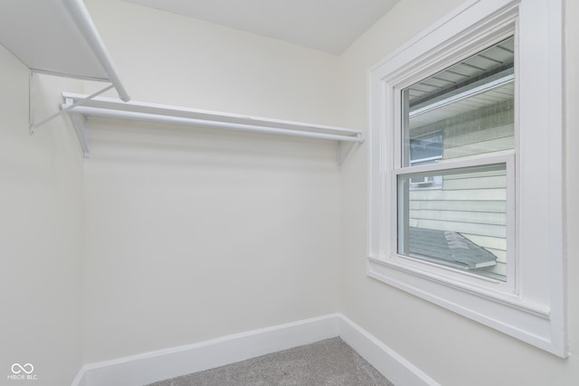 walk in closet featuring carpet flooring