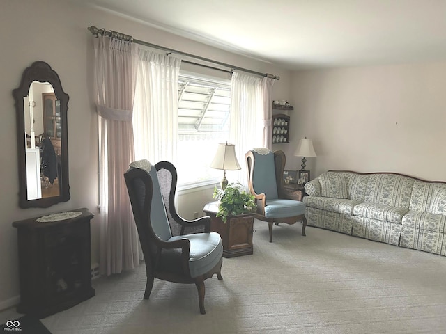 sitting room with carpet floors