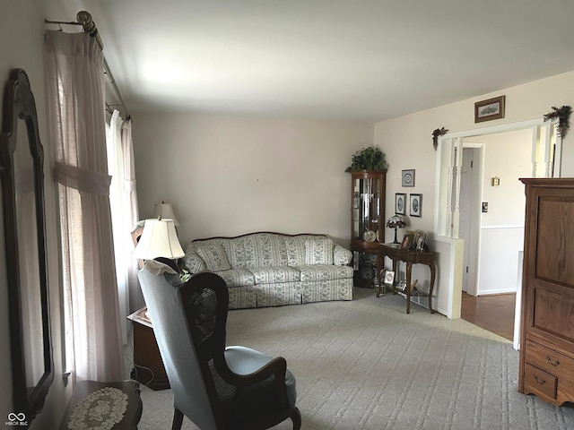 living room with light carpet