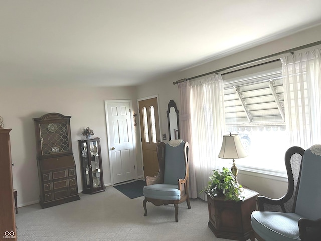 living area featuring carpet floors