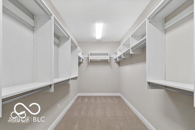 spacious closet featuring carpet flooring