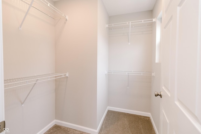 1305 W 23rd St, Indianapolis, IN 46208 - walk in closet with carpet