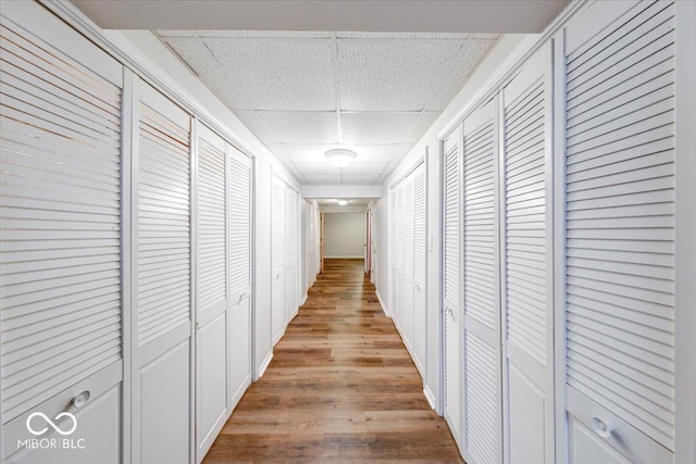 hallway with a drop ceiling and light wood-style floors