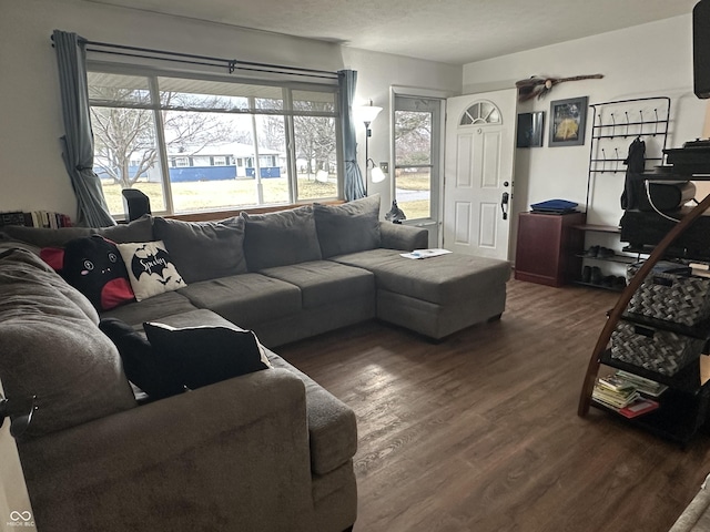 living room with dark wood-style flooring