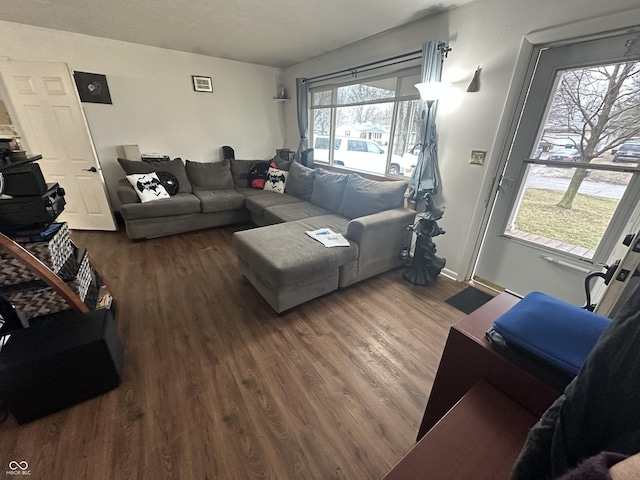 living room with wood finished floors