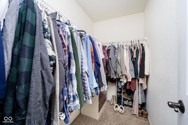 spacious closet with carpet flooring