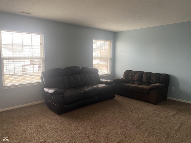 living room featuring plenty of natural light, a textured ceiling, and carpet