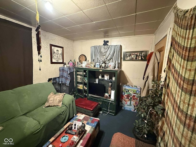 living room with carpet floors