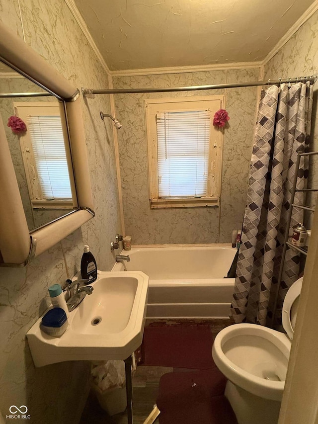 full bathroom with crown molding, shower / tub combo with curtain, plenty of natural light, and sink