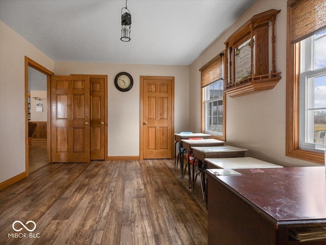 interior space with dark wood-type flooring