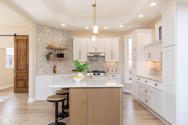 kitchen with white cabinetry, light wood-type flooring, a raised ceiling, and a barn door