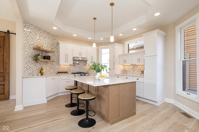 kitchen featuring a raised ceiling, white cabinetry, a barn door, and a kitchen island