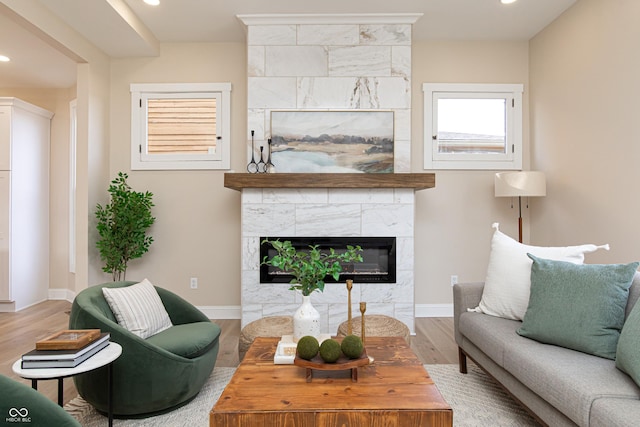 living room featuring a fireplace and wood-type flooring