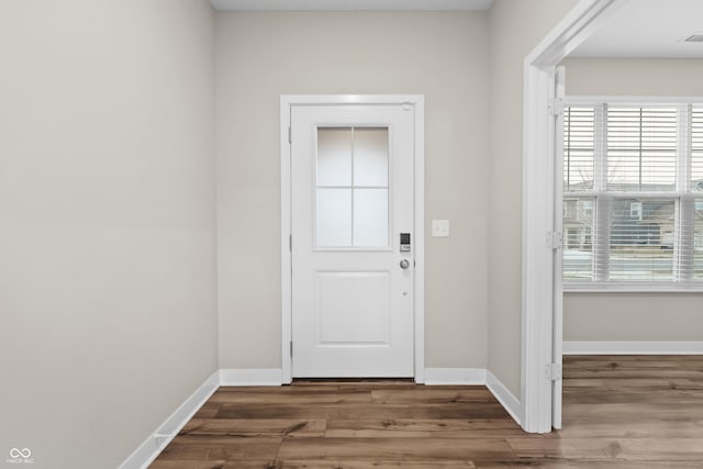 entryway featuring wood-type flooring