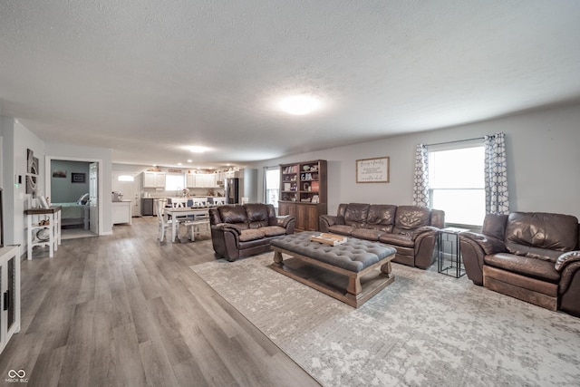 living room featuring hardwood / wood-style flooring and a textured ceiling