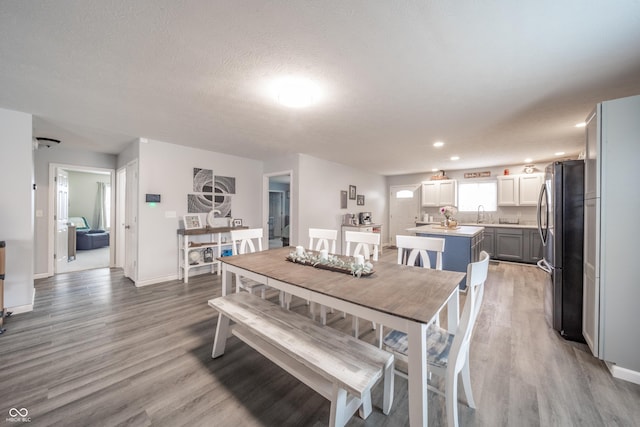 dining space featuring wood-type flooring, sink, and a textured ceiling