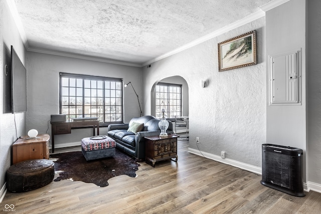 living area featuring crown molding, a textured ceiling, wood finished floors, and a textured wall