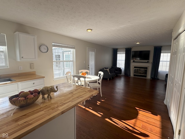 dining area featuring dark wood-type flooring, sink, a textured ceiling, and a wealth of natural light