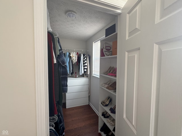 walk in closet with dark hardwood / wood-style flooring