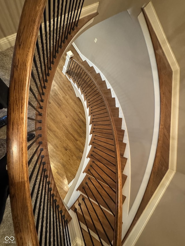 stairway featuring hardwood / wood-style floors