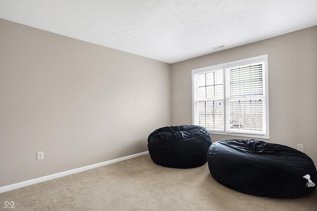 sitting room featuring carpet and a textured ceiling