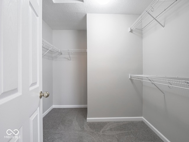 walk in closet with carpet