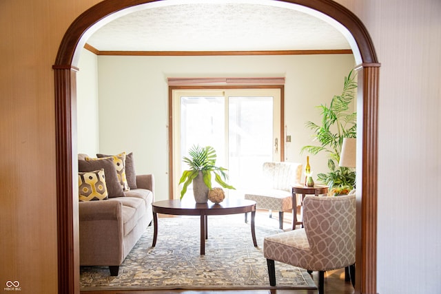 living area with ornamental molding