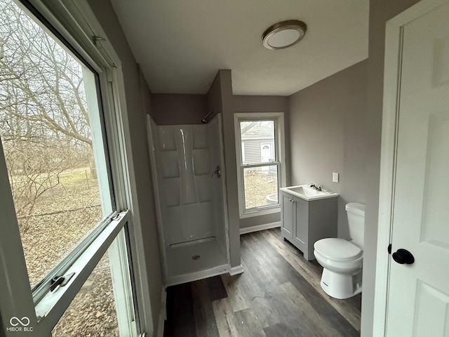 bathroom with vanity, toilet, wood-type flooring, and a shower