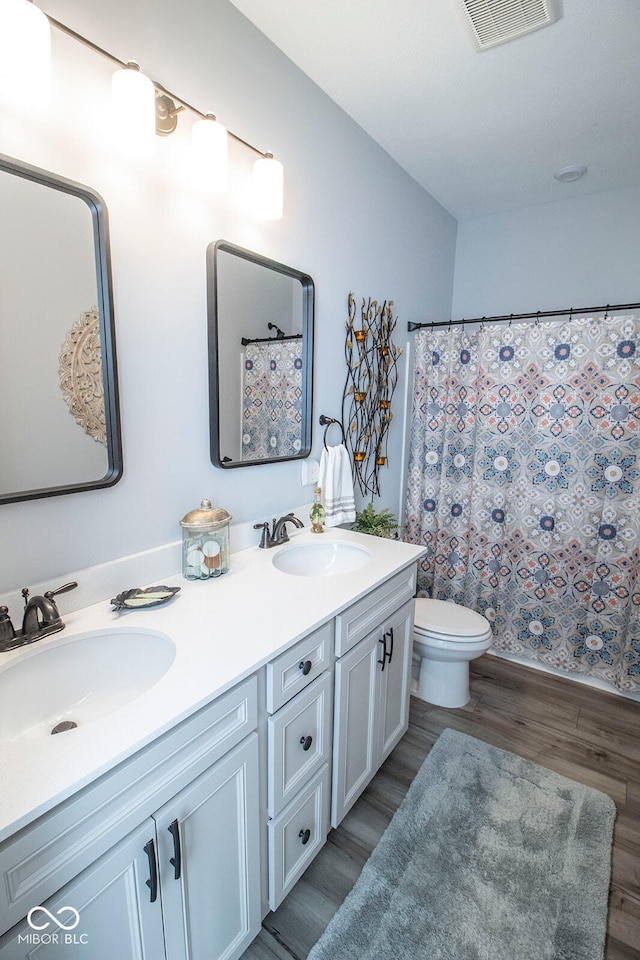 bathroom featuring toilet, vanity, and wood-type flooring