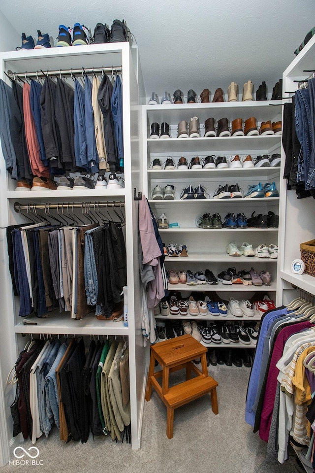 walk in closet featuring carpet