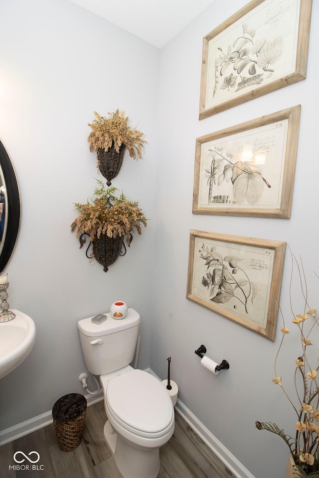 bathroom with toilet and wood-type flooring