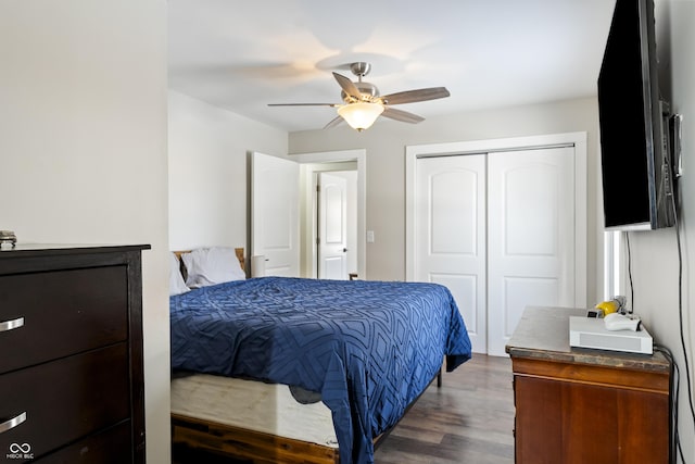 bedroom featuring ceiling fan, dark hardwood / wood-style floors, and a closet