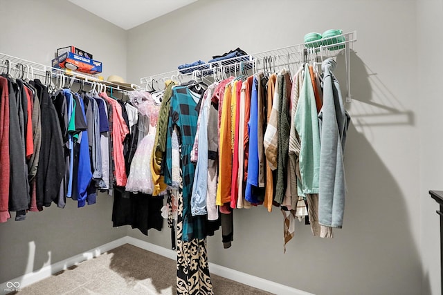 spacious closet featuring carpet flooring