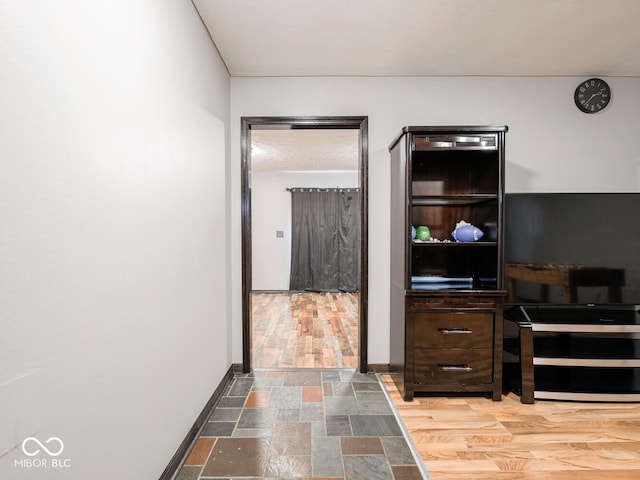 hallway featuring wood-type flooring