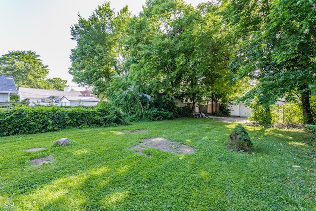 3543 N Kenwood Ave, Indianapolis, IN 46208 - view of grassy yard