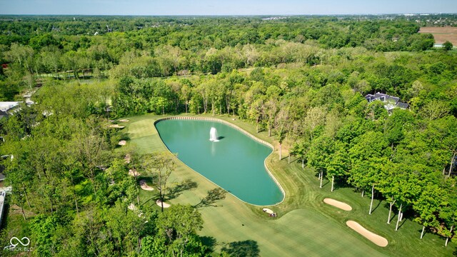 10417 Dartmoor Way, Zionsville, IN 46077 - photo 7