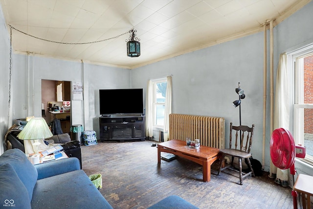 living room featuring crown molding, radiator, and hardwood / wood-style flooring