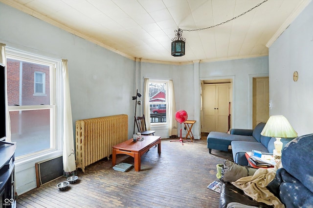 living room with radiator, crown molding, and wood-type flooring