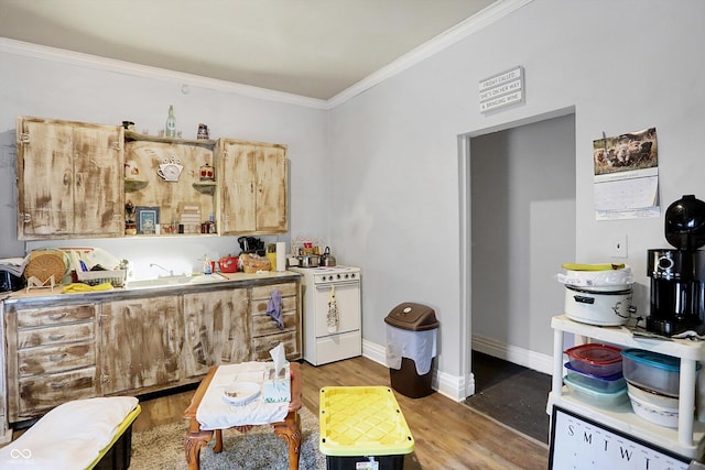 kitchen featuring crown molding, hardwood / wood-style flooring, and white range with electric stovetop