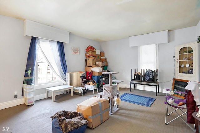 game room featuring radiator heating unit and carpet