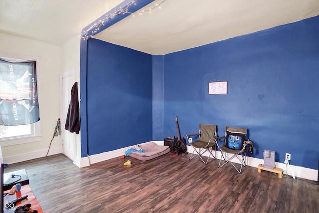 miscellaneous room featuring hardwood / wood-style floors