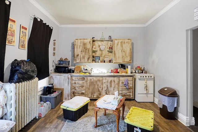 interior space featuring sink, crown molding, and dark hardwood / wood-style floors