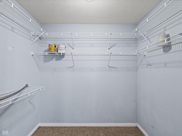 spacious closet with carpet floors