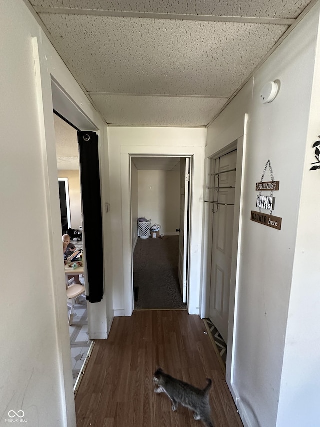 hallway featuring a paneled ceiling and dark hardwood / wood-style floors