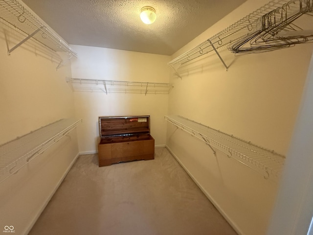 spacious closet featuring carpet floors