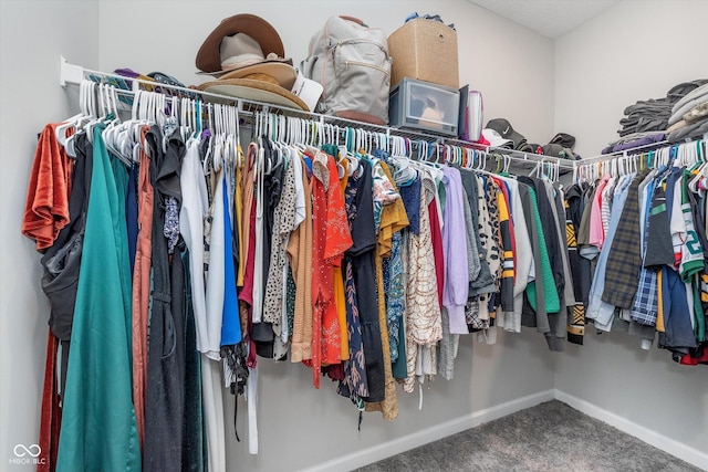 spacious closet featuring carpet floors